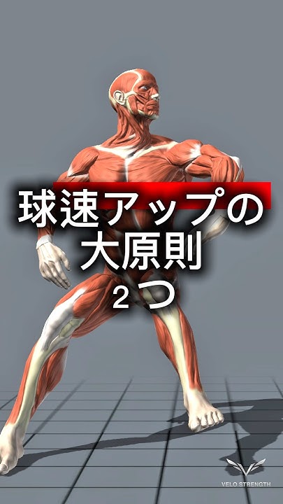 0FFCvGCGSd97252's tweet card. ✅球速アップの大原則2つ　　#pitchingmechanics #pitchingvelocity