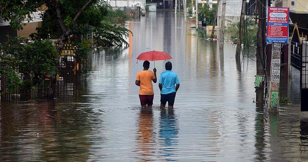 DevelopmentStud's tweet card. The infrastructure of big commerce has replaced the infrastructure to withstand natural shocks.