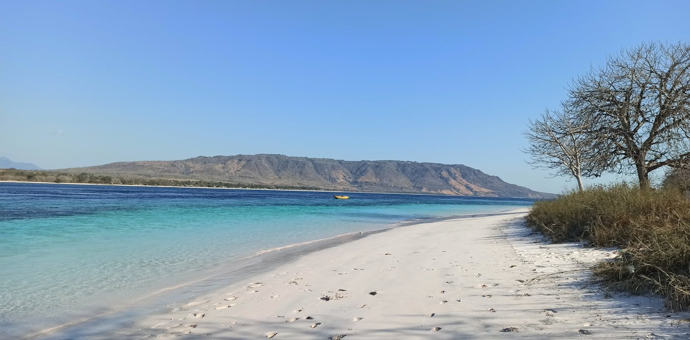 BibliophileVic's tweet card. Some languages in the world are facing extinction rapidly. Language Documentation helps us to safeguard and preserve them.