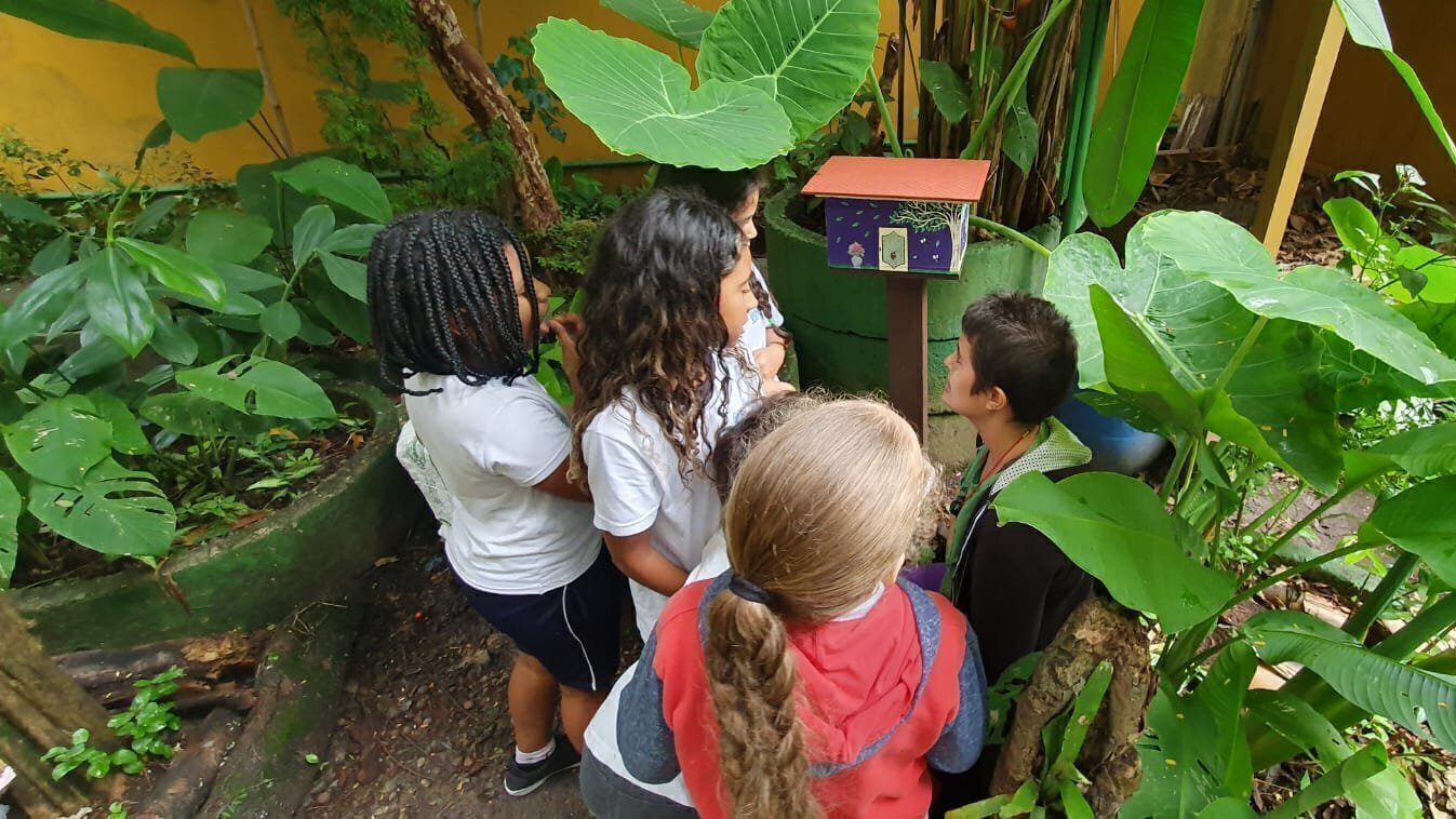cesarncavalc's tweet card. (Vitória!!!) Contra o fim do projeto "Hortas cariocas" nas escolas da rede municipal