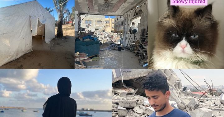 Tweet card summary image