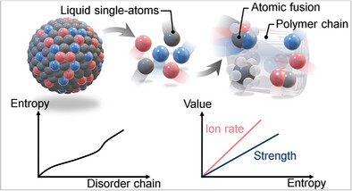 EKL_Batteries's tweet card. Dynamic liquid single-atoms introduce high disorder into the polymer chain segments, elevating the entropy of polymer the system and enabling entropy-driven fast ion transport. Simultaneously, the...