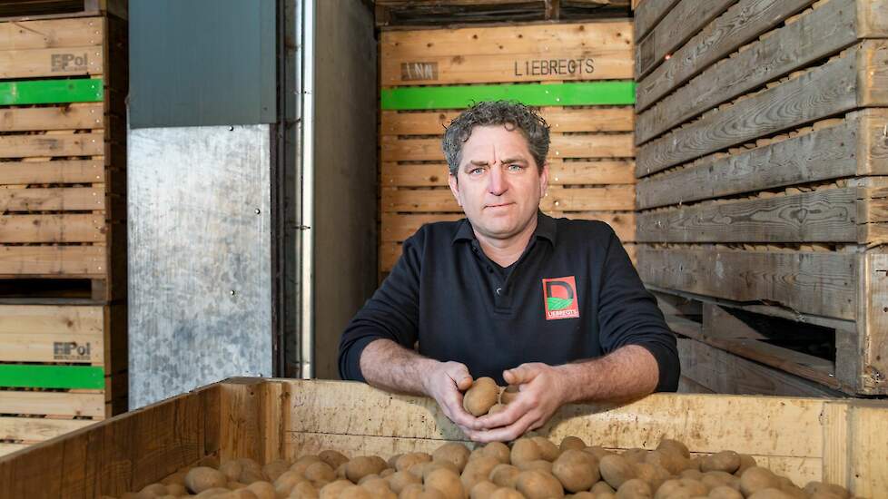 soil_tech's tweet card. Akkerbouwer Dirk Liebregts ziet na drie jaar proeven met bladbemesting duidelijk resultaat: "De sortering en kwaliteit van de aardappelen is beter." Na succes bij aardappelen past hij de methode nu...