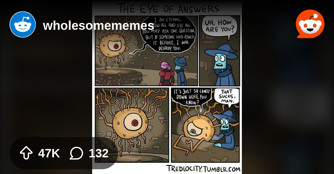 appliedtao's tweet card. Explore this post and more from the wholesomememes community