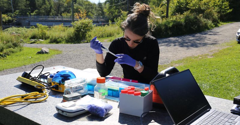 Tweet card summary image