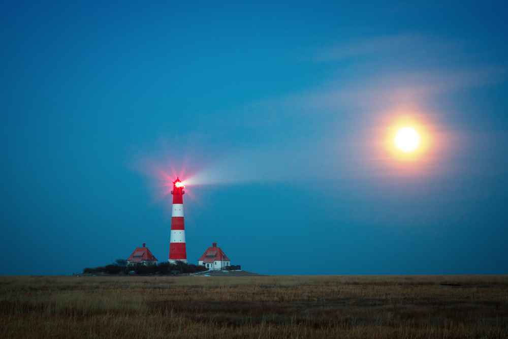 OrgComp16807's tweet card. Los propósitos motivan, son la razón de ser de una compañía. Aprende a construir uno e inspírate en estos ejemplos de propósitos de una empresa líder.