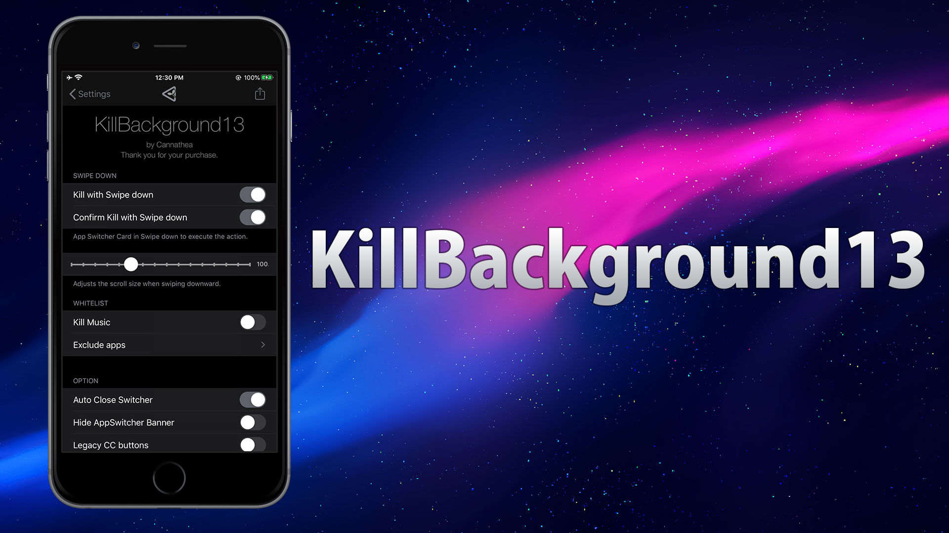 ichitaso's tweet card. Kill background apps with style for iOS 13 to 18!