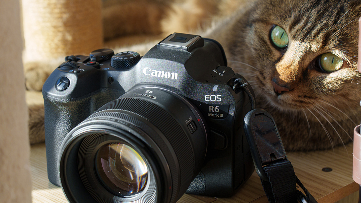 asciijpeditors's tweet card. キヤノンのデジタル一眼、EOS Rシリーズの中核モデルといえば「EOS R6」シリーズ。フルサイズセンサー搭載のミドルクラス機で、幅広くいろんなものを撮りたい人……、つまりどんなジャンルの撮影でも過酷すぎない限り対応してくれる、万能カメラだ。