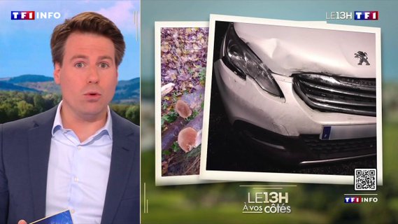 Image for twitter card