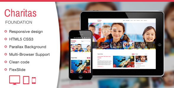 stylelibreview's tweet card. Theme Information Charitas – is a simple and clean but still professional template suitable for Charity, NGO, Foundations and it’s created by using the latest HTML5 and CSS3 techniques. The respons...
