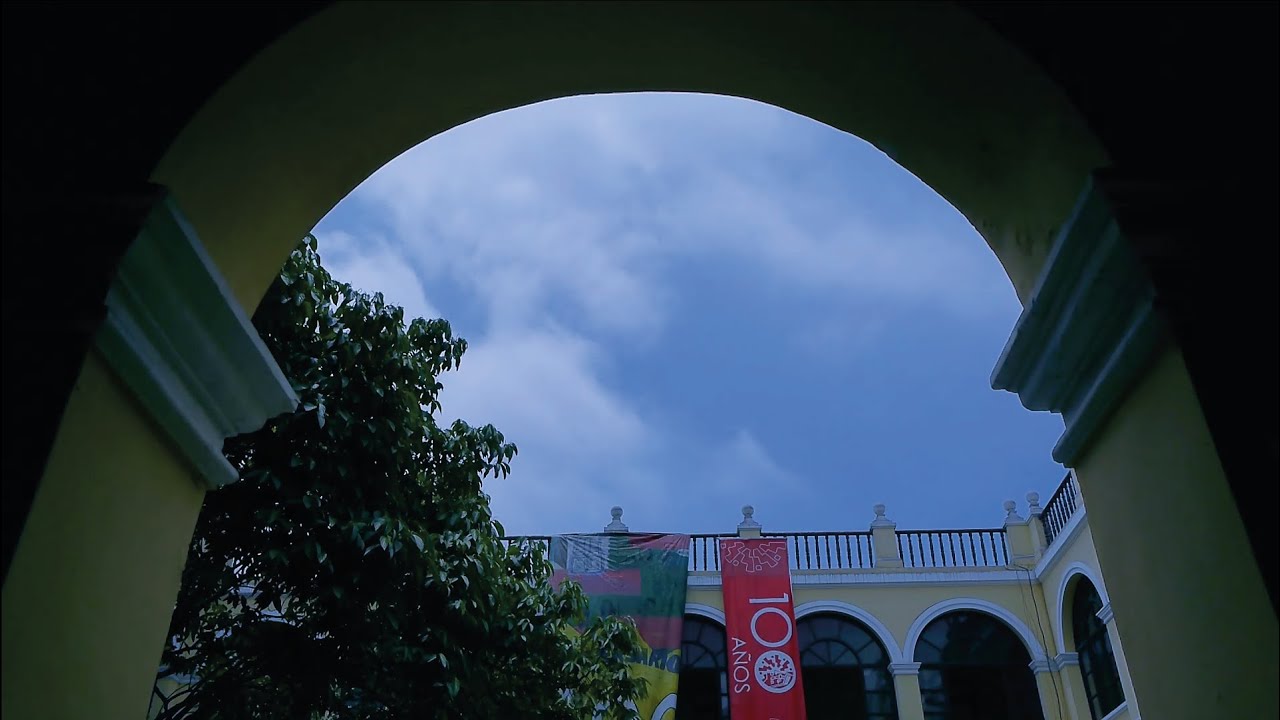 visualcreator5's tweet card. LA FORMA DEL ARTE 100 Años