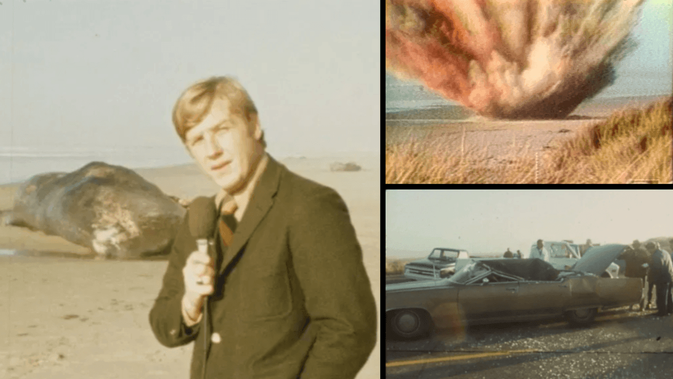 KVALnews's tweet card. Tuesday marked 54 years since a dead whale was infamously blown up on a beach, showering bystanders and cars with whale bits.