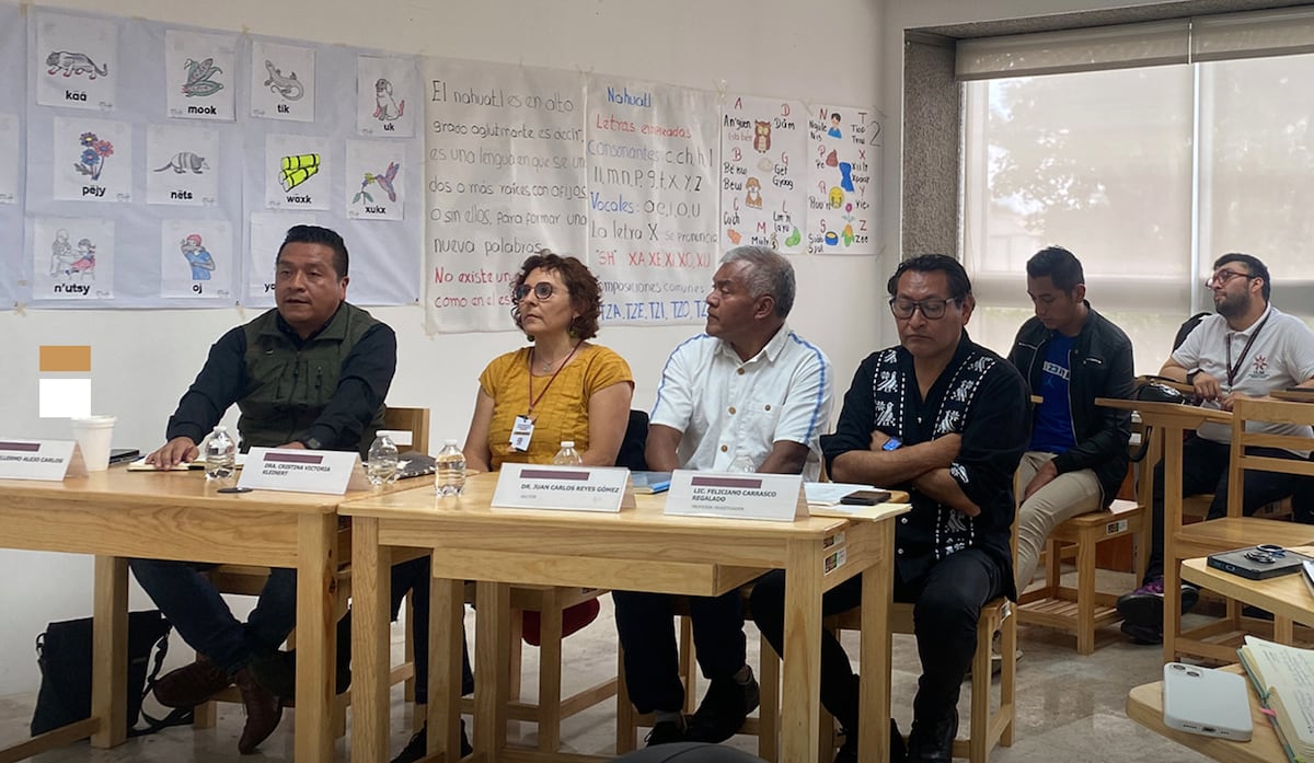 AmericaFutura's tweet card. Creada hace dos años, la ULIM forma a profesionales para la enseñanza como una forma de entender el mundo. De aquí también saldrán intérpretes que impedirán, por ejemplo, que a un indígena le...