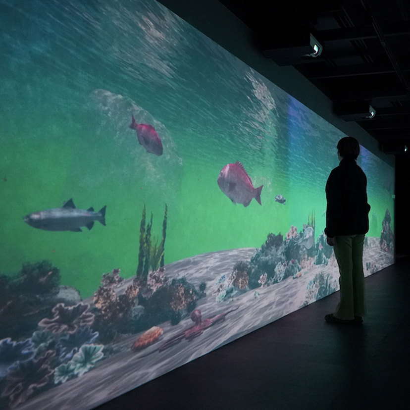 ProAV_Picks's tweet card. 感情を揺さぶる空間を創造する！注目のデジタルアーティスト・たなか葵氏が語る「体験価値」へのこだわり