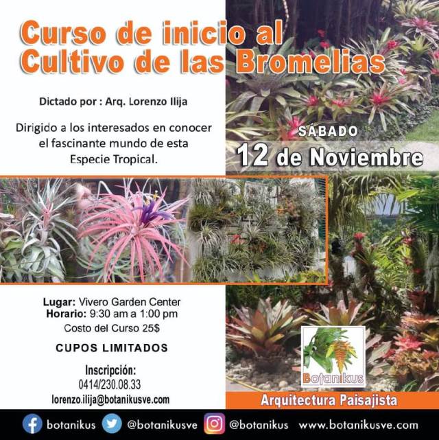 avaacccs's tweet card. CURSO INICIO AL CULTIVO DE LAS BROMELIAS taxonomía, morfología, géneros, métodos, paisajismo Dictado por el Arquitecto Lorenzo Ilija 12 de noviembre del 2022 Av. Fco. de Miranda, Vivero Garden Cent…
