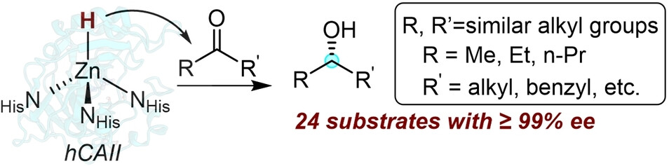 WardGroupBS's tweet card. The enantioselective reduction of dialkyl ketones containing two similar alkyl groups is challenging. Although human carbonic anhydrase II (hCAII) naturally catalyzes the reaction of achiral water...
