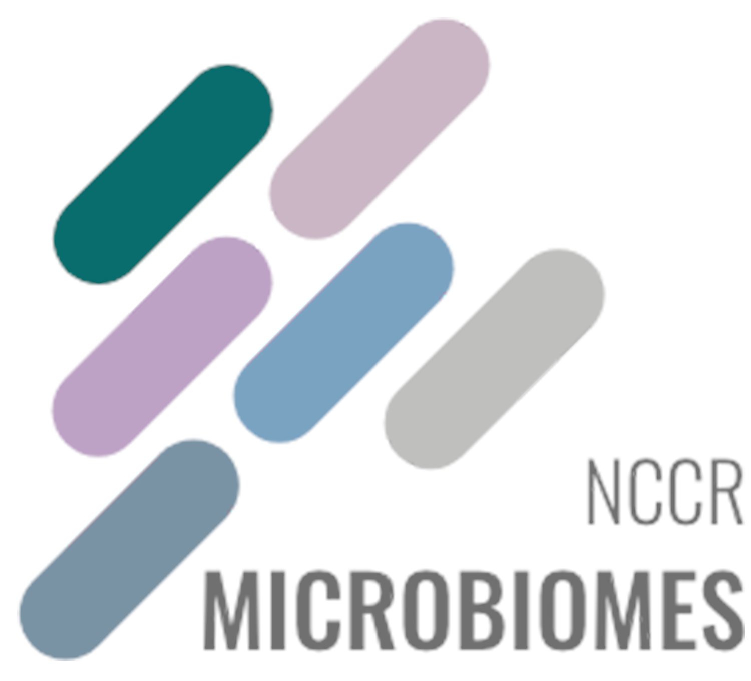 PEngellab's tweet card. HOME - NCCR