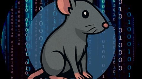 theXSSrat's tweet card. OWASP API top 10 based API hacking syllabus