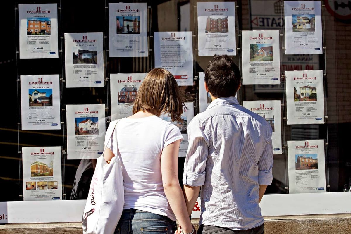 ElecSafetyFirst's tweet card.  