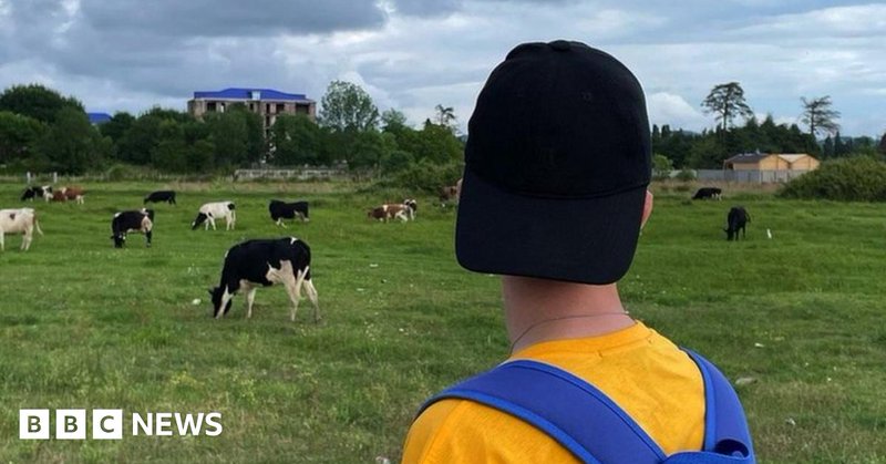 Tweet card summary image