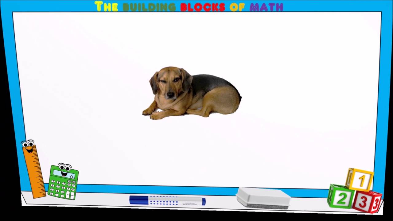 TaliLeibovich's tweet card. Size matters in math