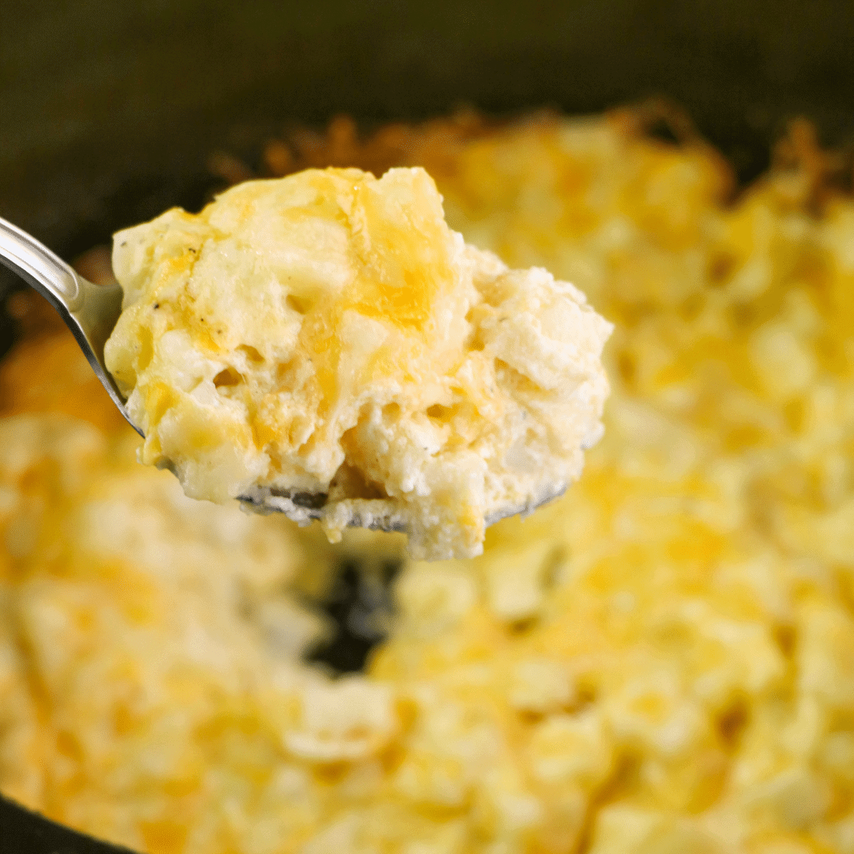 Paula_CallMePMc's tweet card. Slow Cooker Hashbrown Casserole is creamy, cheesy and a simple side dish to make for dinner any night of the week. Perfect for weeknights.