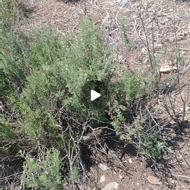 geodronsolution's tweet card. Geodron Solutions (@geodronsolutions) • Instagram video