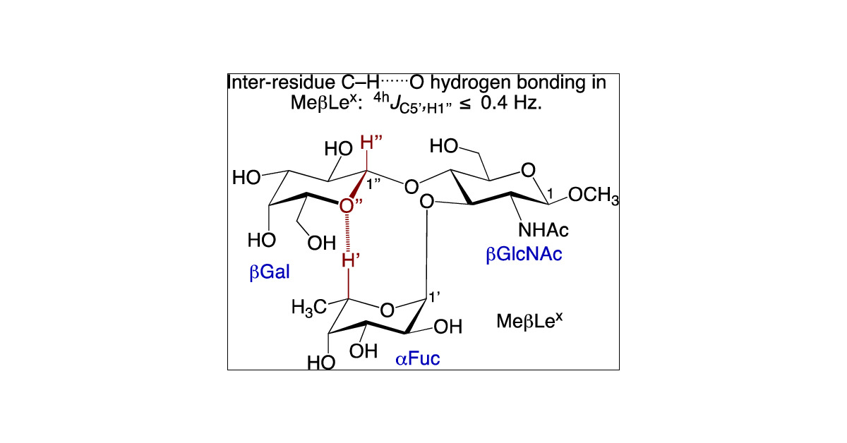 J_A_C_S's tweet card. Prior studies of the solution conformation of the Lewisx (Lex) trisaccharide, αFuc-(1→3)[βGal-(1→4)]-βGlcNAc, suggest that nonclassical inter-residue C–H···O hydrogen bonding in aqueous solution...