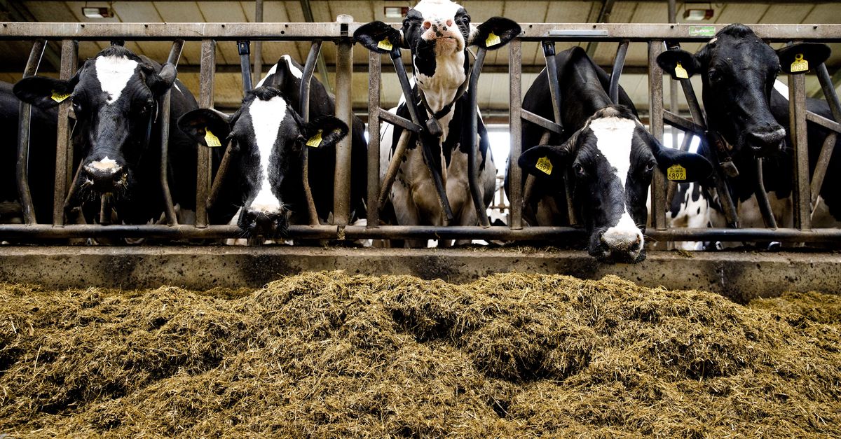 bbuizer's tweet card. Kosten-batenanalyse: Milieuschade door landbouw leidt tot hoge maatschappelijke kosten, laat Deloitte zien. „Deze cijfers geven wel aan dat de problematiek nijpend is.”