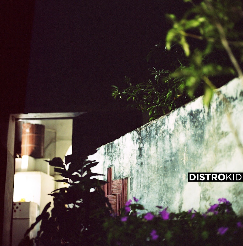 anthony__wilson's tweet card. Stream and Save House of the Singing Blossoms - Distributed by DistroKid