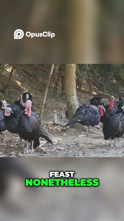 GeekyTidbits's tweet card. First Thanksgiving: Origins, Feast, and Cultural Fusion