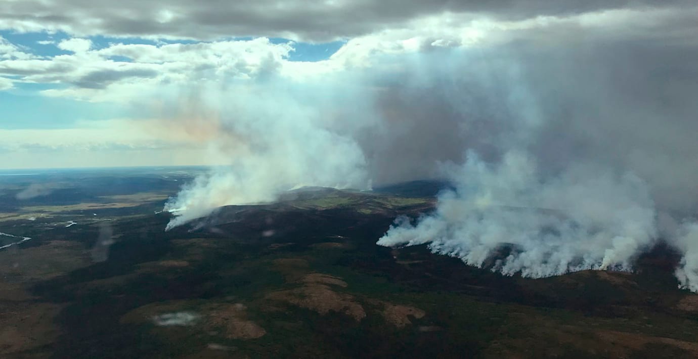 ParHolmgren's tweet card. Den arktiska tundran släpper nu ut mer koldioxid än vad den binder. Det uppger den amerikanska klimatmyndigheten NOAA i en forskningsrapport enligt AFP.