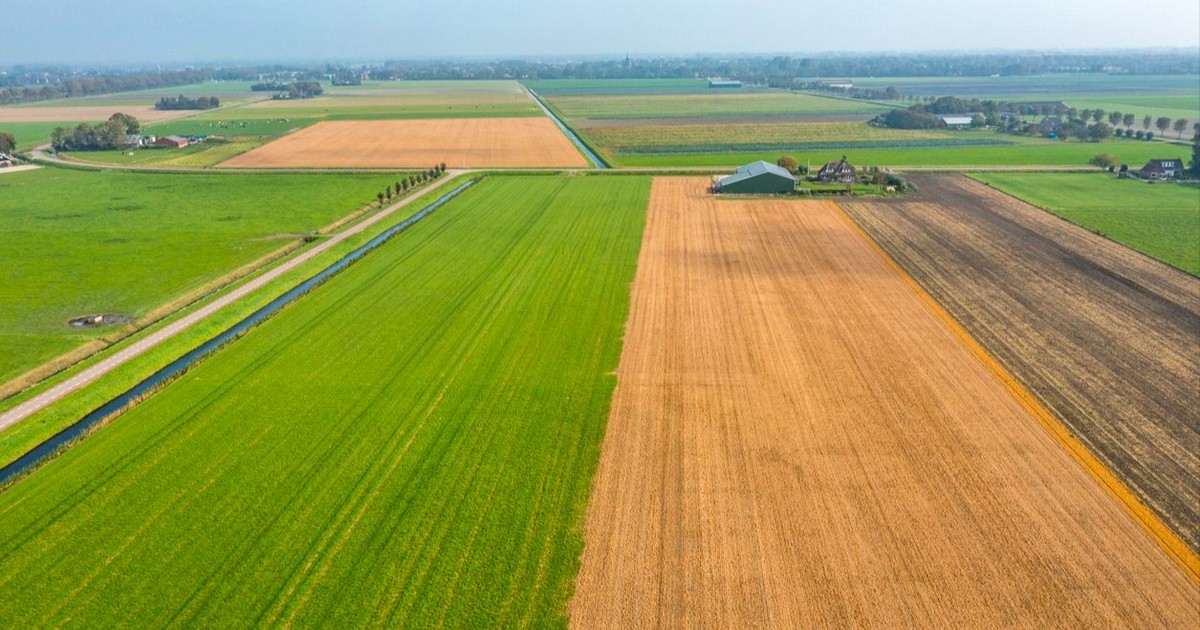 ParHolmgren's tweet card. Vi behöver fler bönder i EU, och utan en reformerad Cap kommer lönsamheten att svikta och fler lantbruk behöver lägga ned. Det skriver Pär Holmgren, EU-parlamentariker för Miljöpartiet.