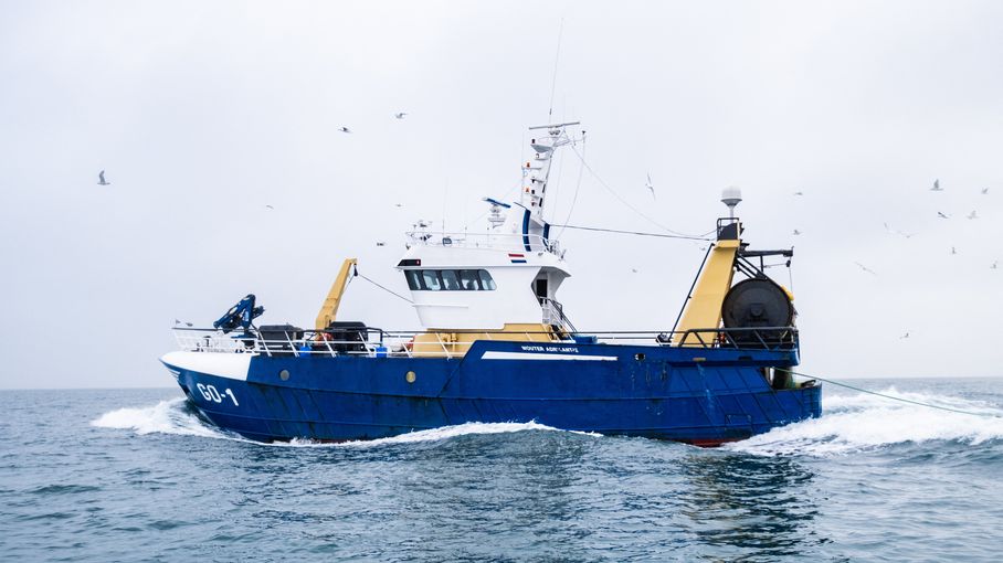 _DataStrategies's tweet card. Raphaël Seguin, doctorant à l'université de Montpellier, publie une étude dans la revue "Science" dans laquelle il démontre cette pratique abusive.