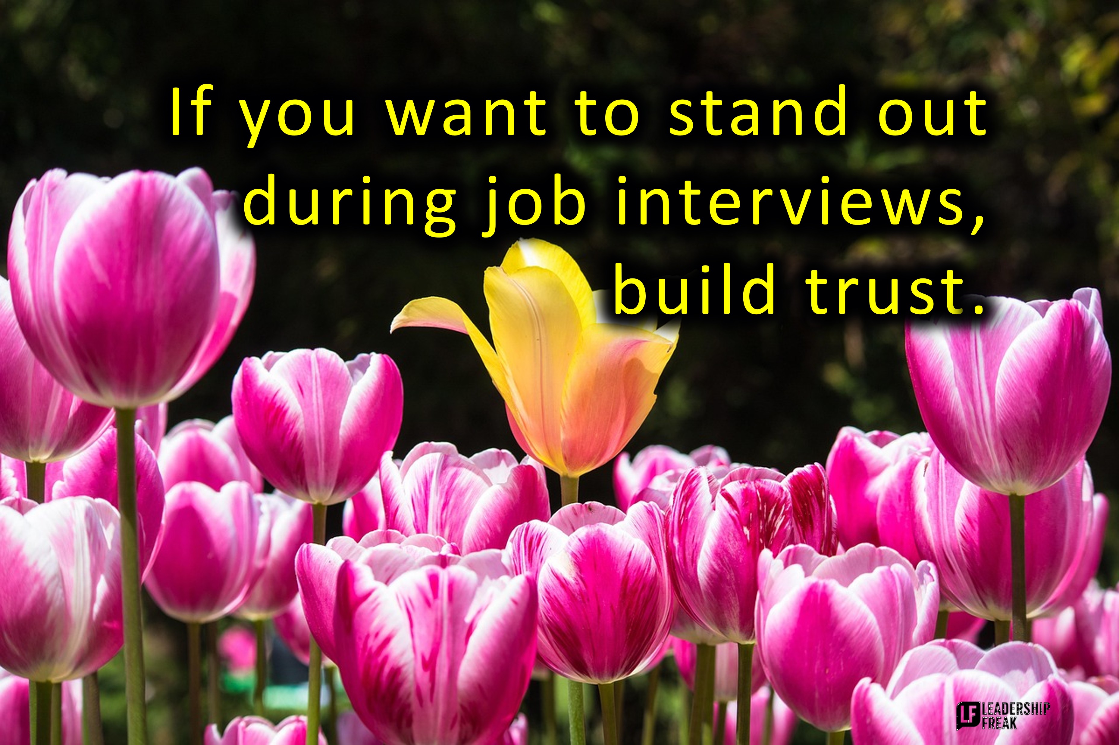 jaymmcdonald's tweet card. Job interviews are tough. Here’s how to stand out. #1. Answer the Question Behind the Question Interviewers wonder, “Can I trust you with this role?” Go beyond answers. Provide evidence. Connect...