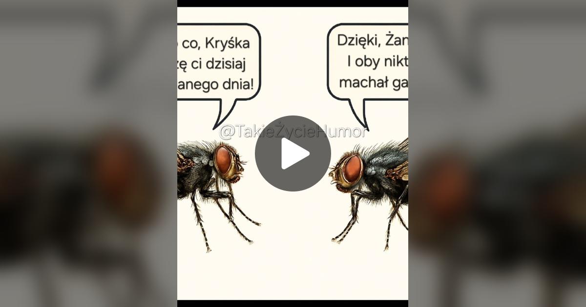 Defection_pl's tweet card. Check out einvestnet’s video.