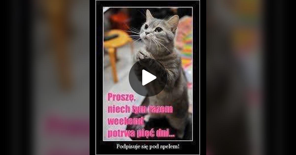 Defection_pl's tweet card. Check out einvestnet’s video.