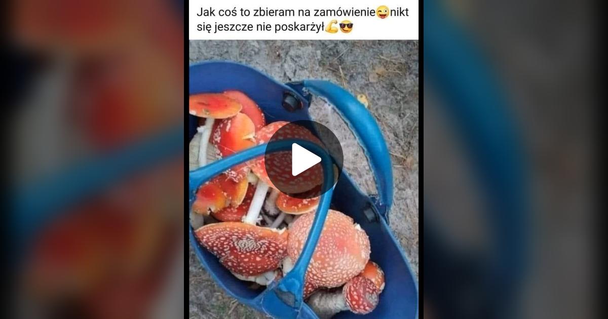 Defection_pl's tweet card. Check out einvestnet’s video.