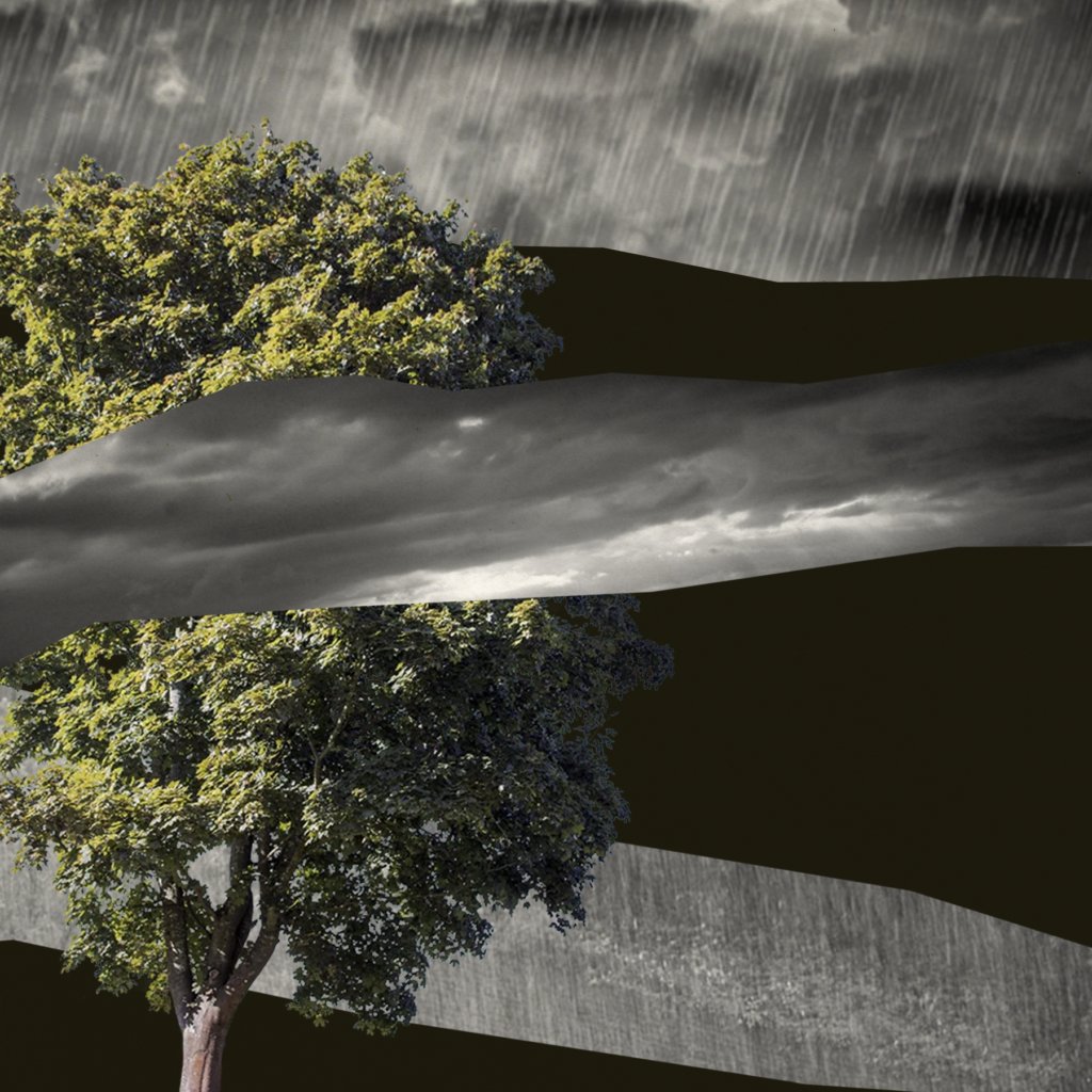 Sean_J_Fitz's tweet card. A bit ago I was reaching down the storm drain like a freak, checking over my shoulder but not because I was worried a Mazda could run me over. About a week ago my new friends, rolling down the...