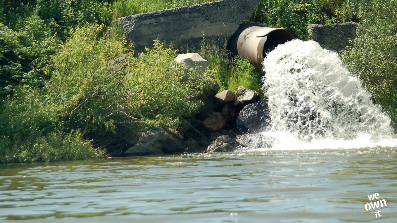 JustAToadstool's tweet card. Email DEFRA - regulation won't fix our broken water system