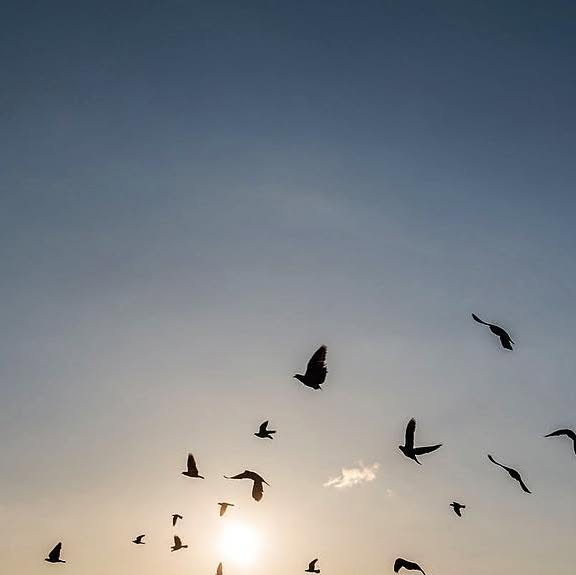 alexmacro's tweet card. Alex Macro (@alexmacro) • Instagram photo