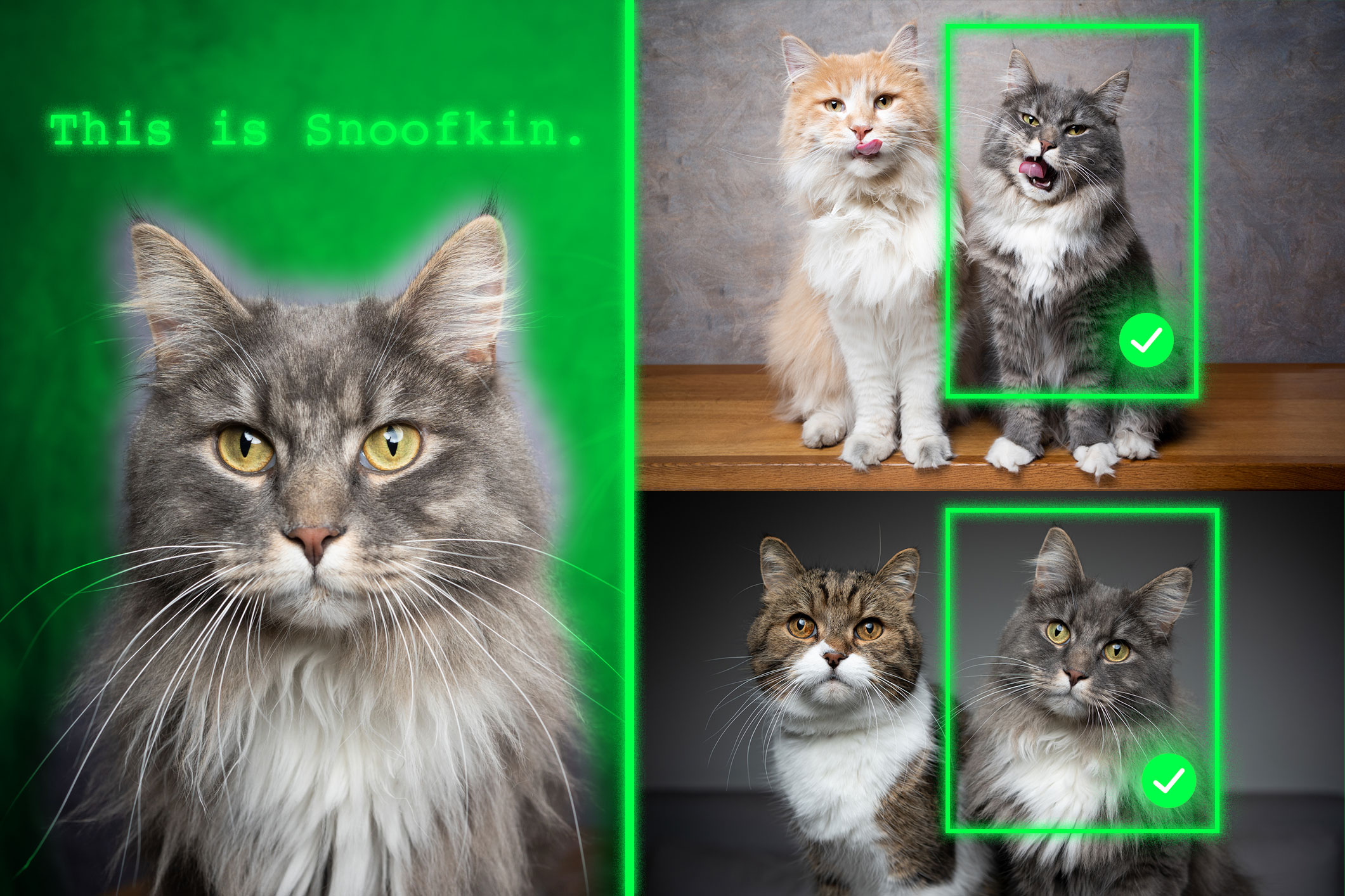 quantumbytz's tweet card. MIT researchers developed a training method that teaches vision-language generative AI models to localize a specific object, like a person’s pet, in a new scene.