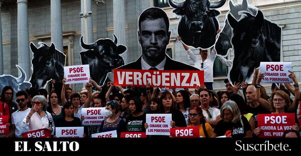 unbichoinquieto's tweet card. El Congreso bloqueó la posibilidad de debatir la ILP No es mi cultura para retirar la tauromaquia como patrimonio, en una votación marcada por críticas al PSOE.