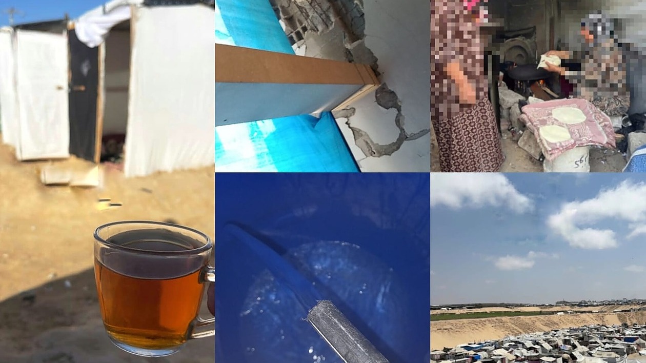 ayahh2001's tweet card. Hello everyone, my name is Aya, and I am the trusted member of my family who is reaching out for help.