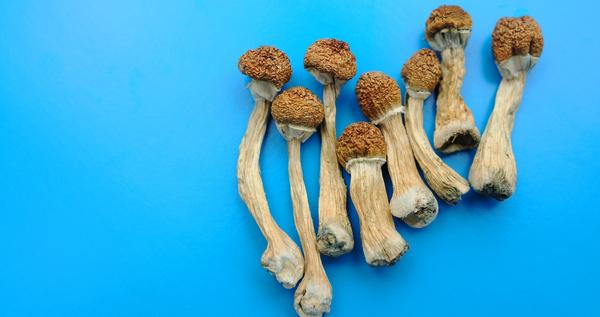 BeauKilmer's tweet card. Join the RAND Epstein Family Veterans Policy Research Institute and RAND Drug Policy Research Center for a discussion about the use of psychedelics in the United States. Panelists will highlight the...