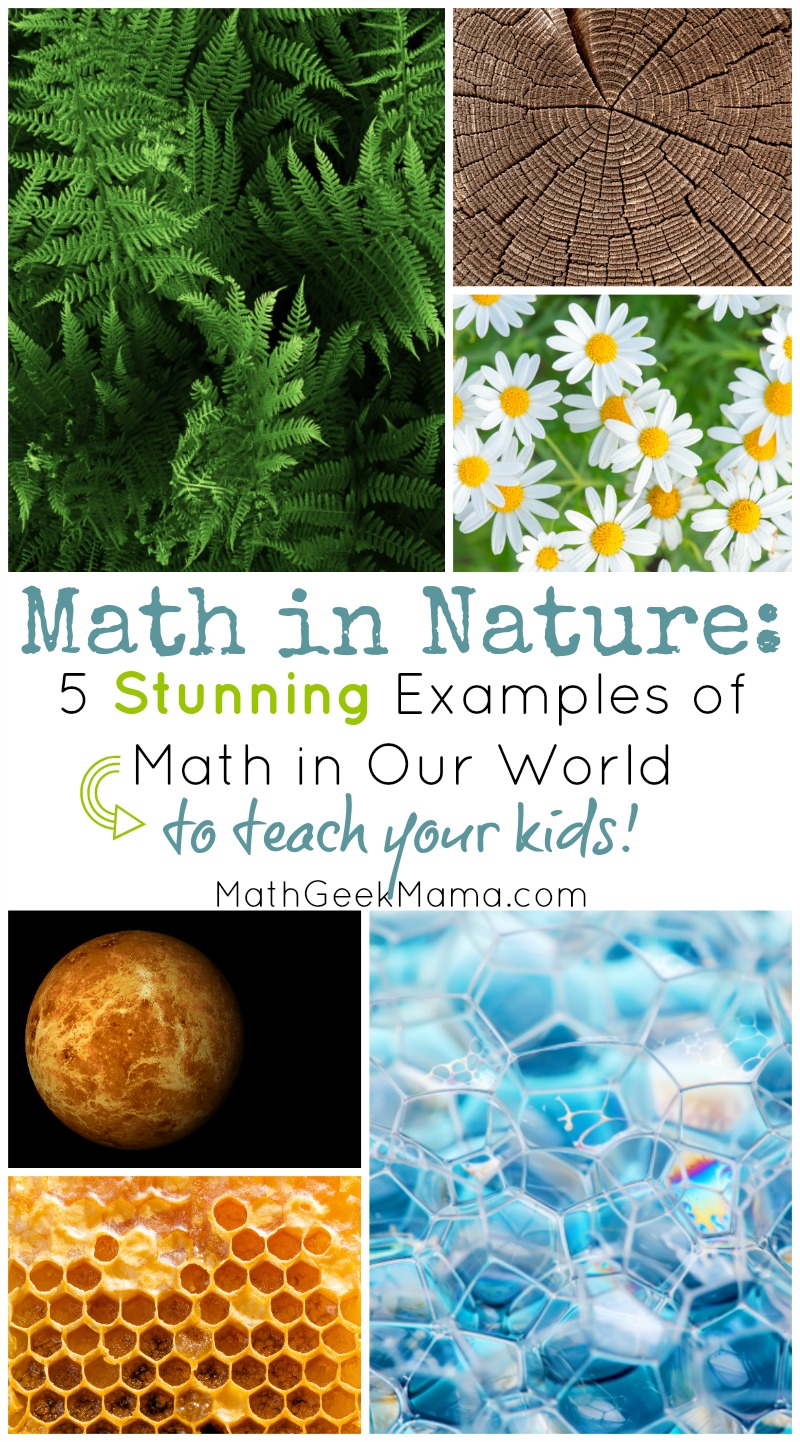 mathgeekmama's tweet card. Do you notice math in the natural world? Do your kids? Learn about and explore the beauty of math in nature and then get outside to see it for yourself.