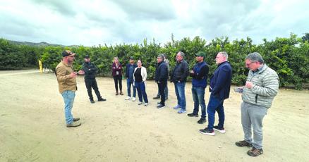 VC_Reporter's tweet card. T