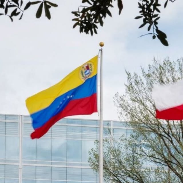 mcvm_oficial's tweet card. Movimiento Ciudadano Venezolanos en el Mundo (@mc.venezolanosenelmundo) • Instagram photos and...