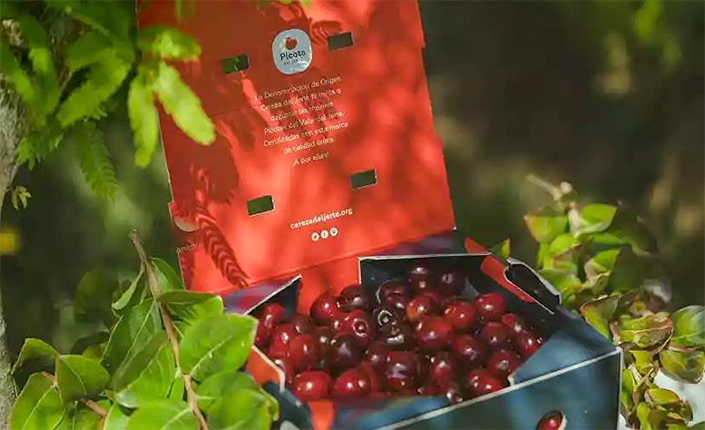 valenciafruits's tweet card. El Consejo Regulador de la DOP Cereza del Jerte prevé certificar 3.000 toneladas de picotas durante esta campaña