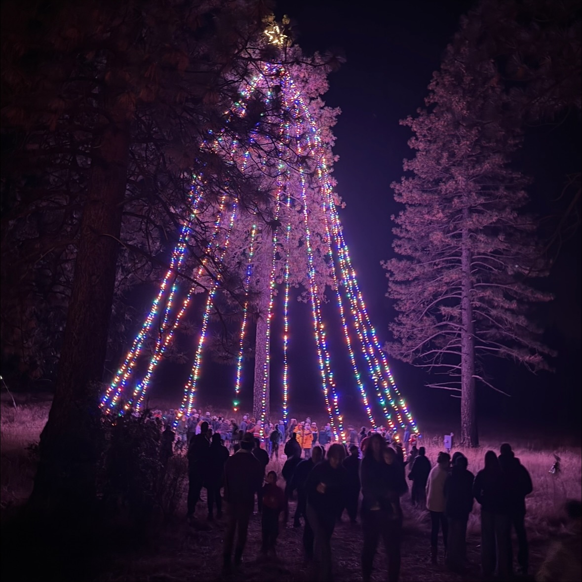 ThePineTree's tweet card. Avery, CA… Avery Christmas Tree Lighting! .  Join us Friday, November 28, 2025 for a cozy community evening full of holiday cheer!  Refreshments start at 5:30 PM.  Visit & take pictures w…